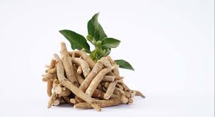 Ashwaganda